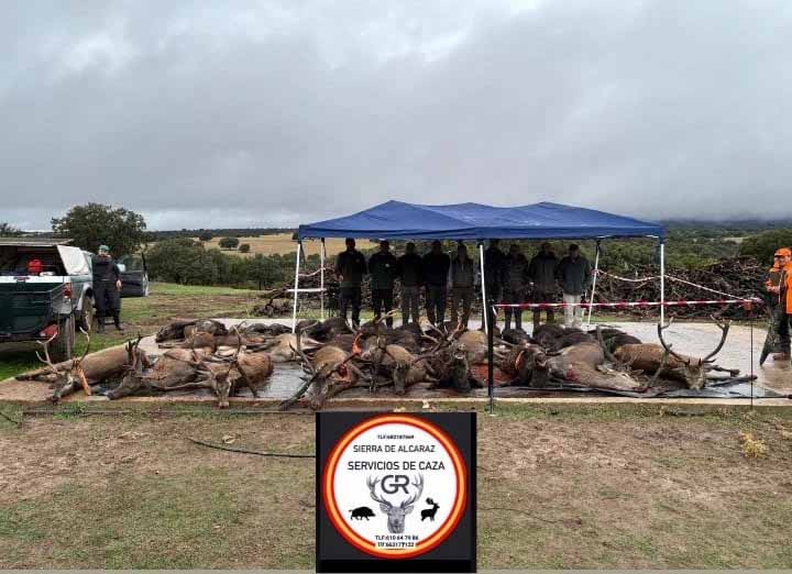 Resultado Montería Los Barrancos 2025 Sierra de Alcaraz